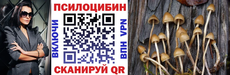 цены наркотик  Велиж  Псилоцибиновые грибы мухоморы 
